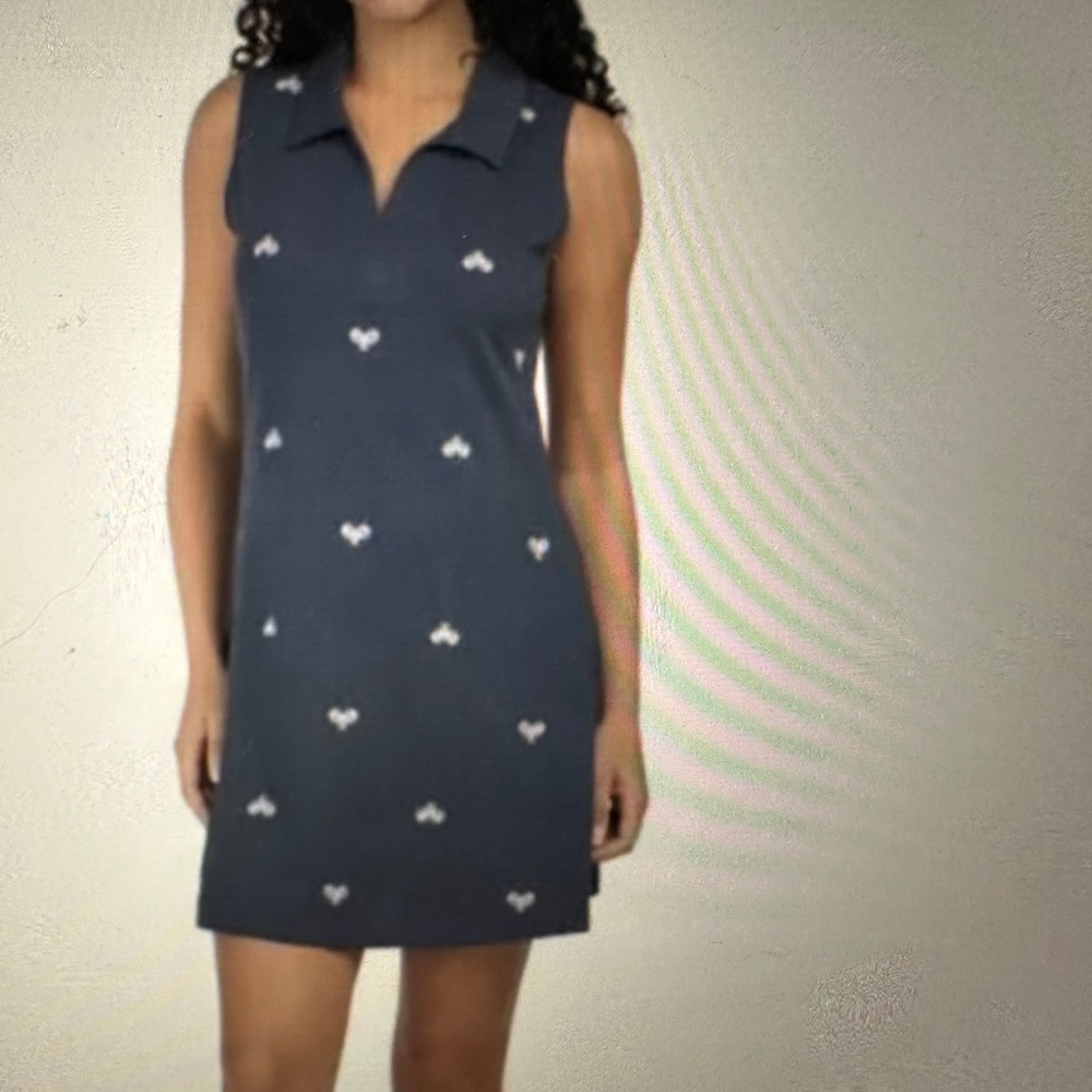 Ingrid Olsen Golf and Tennis Pickle Ball Dress.NWT.